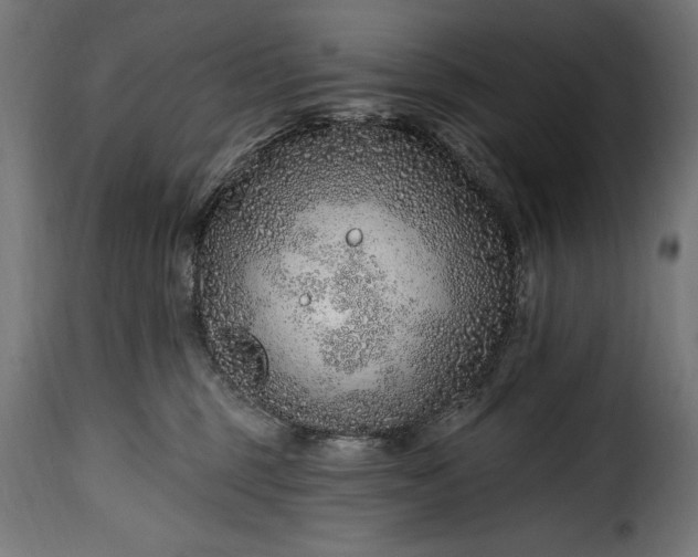 X0000115630375200911241652