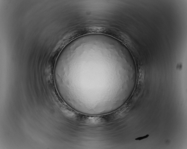 X0000115630377200911241652