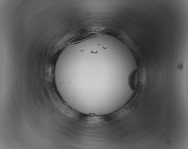 X0000115630378200911241652