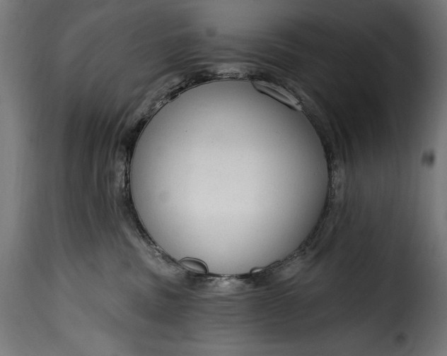 X0000115630379200911241652