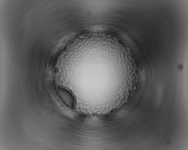 X0000115630381200911241652