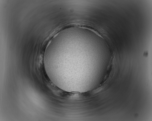 X0000115630382200911241652