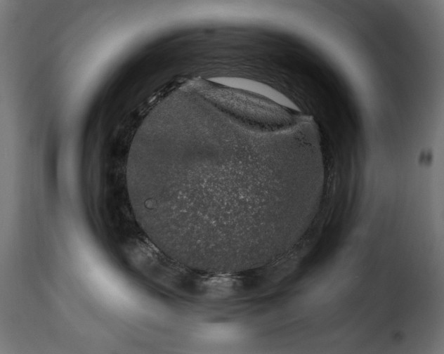 X0000115630383200911241652