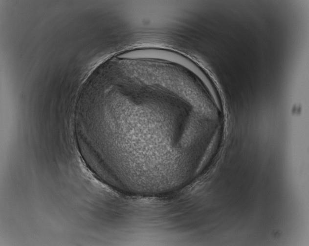 X0000115630385200911241652