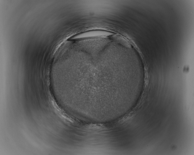 X0000115630386200911241652