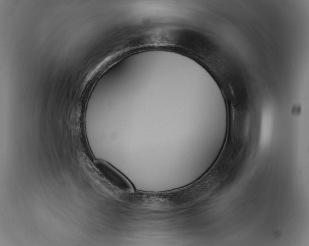 X0000115630387200911241652