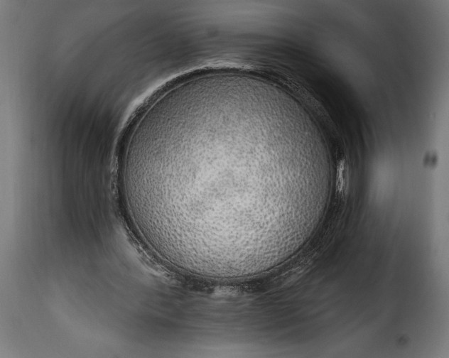 X0000115630388200911241652