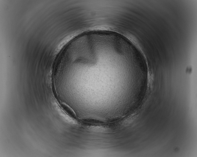 X0000115630389200911241652