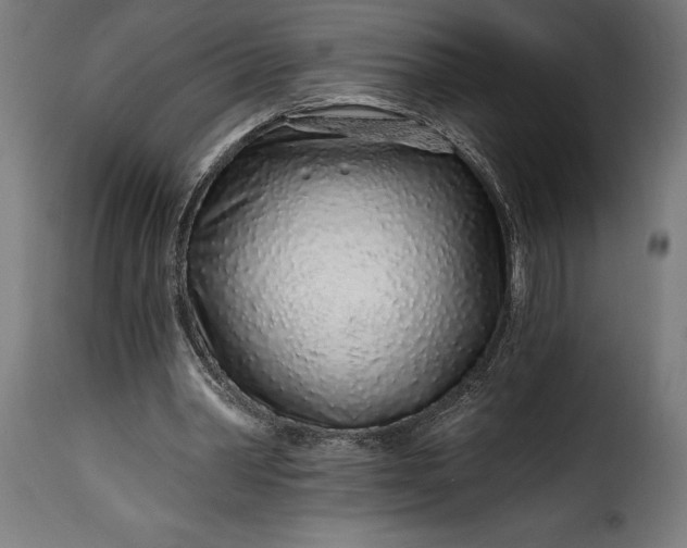 X0000115630390200911241652