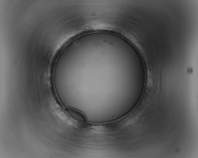 X0000115630391200911241652