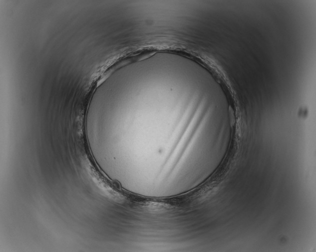 X0000115630393200911241652