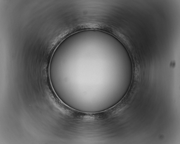 X0000115630394200911241652