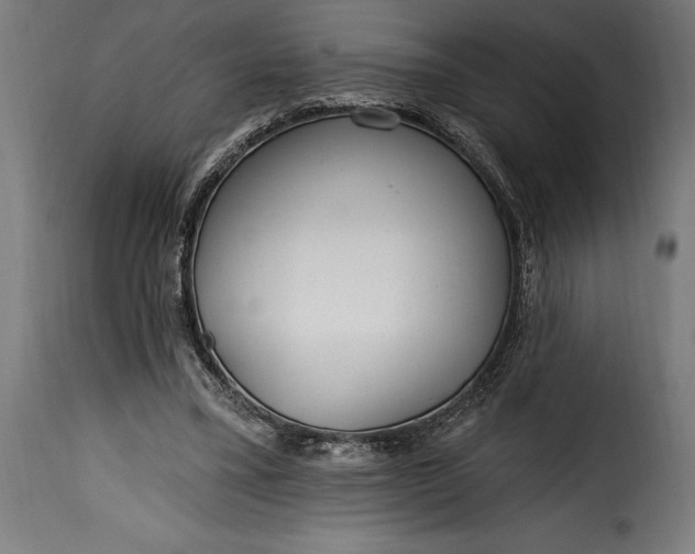 X0000115630395200911241652