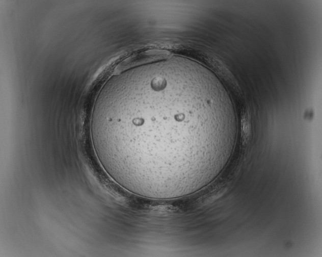 X0000115630396200911241652