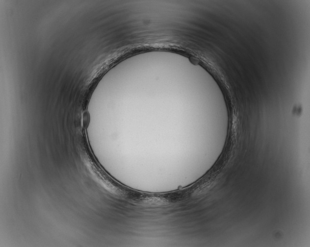 X0000115630397200911241652