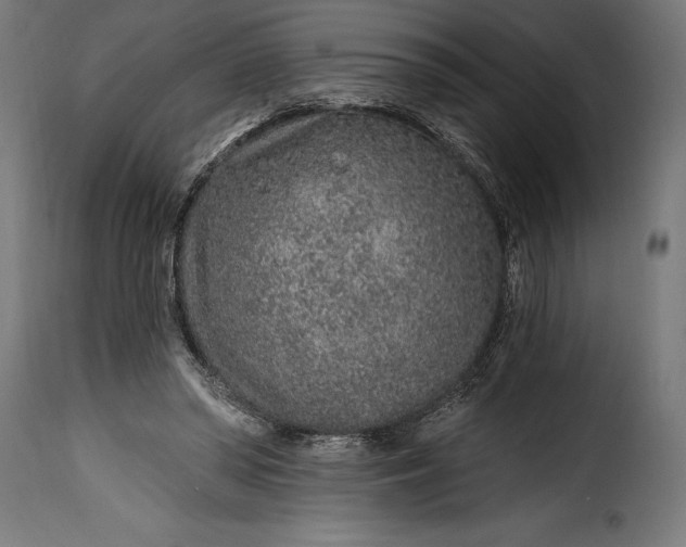 X0000115630398200911241651