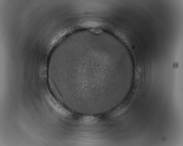 X0000115630399200911241651