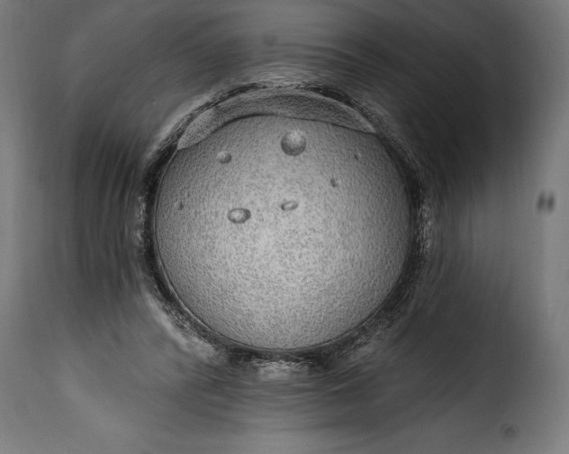 X0000115630400200911241651