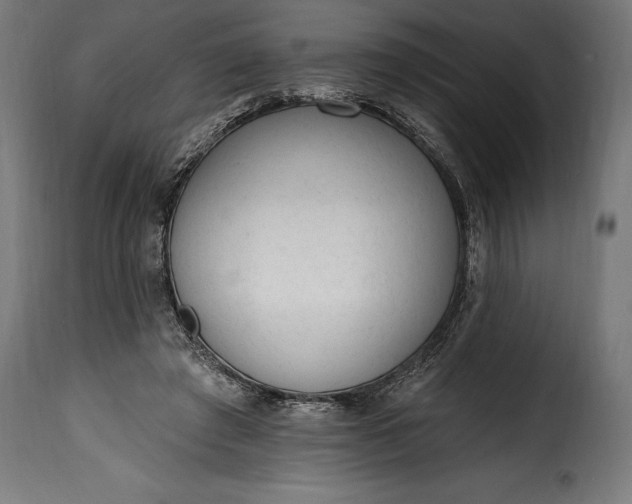 X0000115630401200911241651