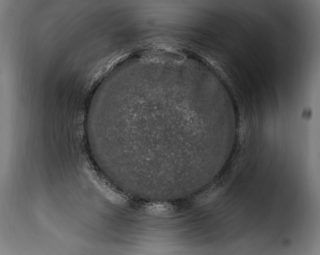 X0000115630402200911241651