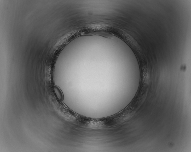 X0000115630403200911241651