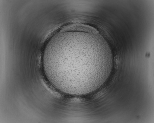 X0000115630404200911241651