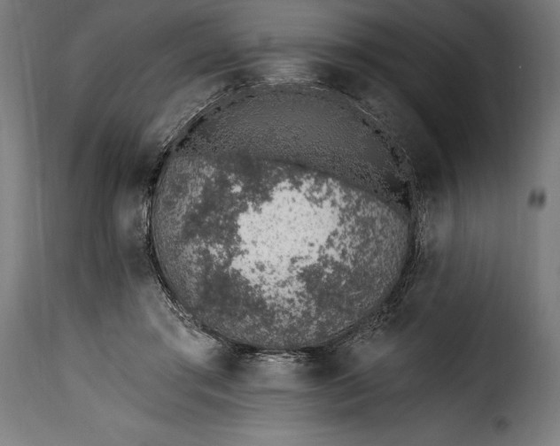 X0000115630405200911241651