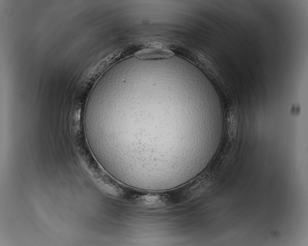 X0000115630406200911241651