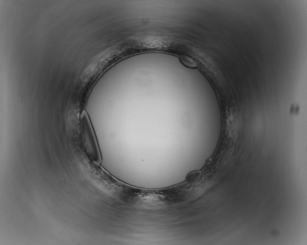 X0000115630407200911241651