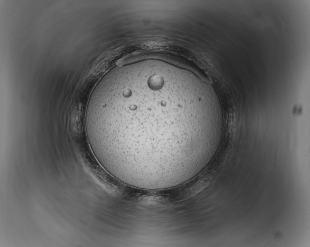 X0000115630408200911241651