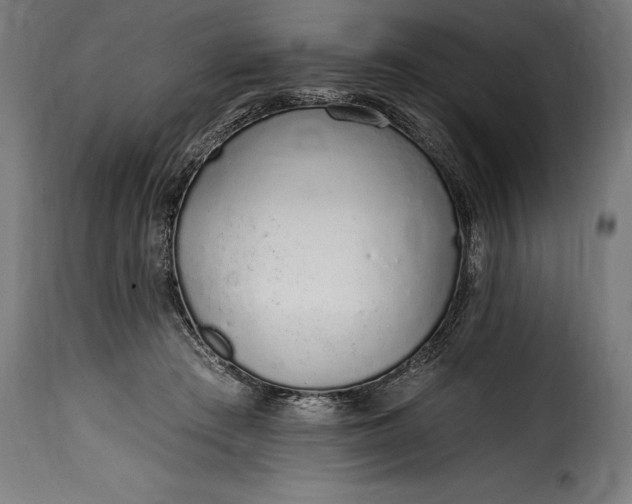 X0000115630409200911241651