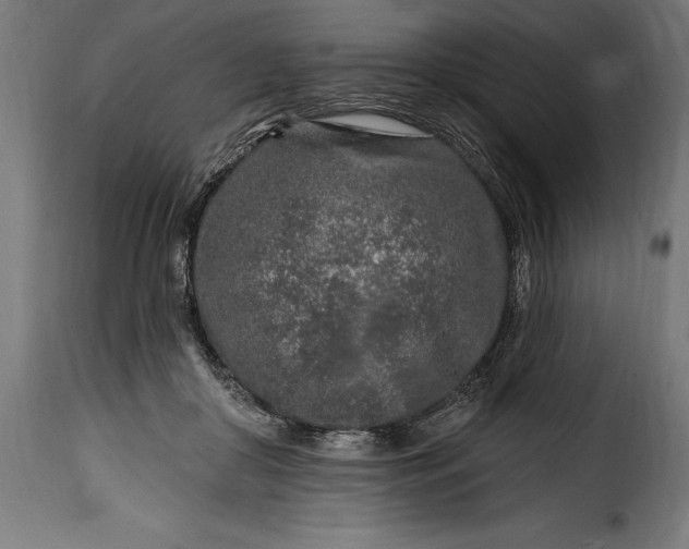 X0000115630410200911241651