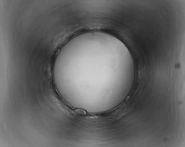 X0000115630411200911241651