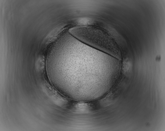 X0000115630413200911241651