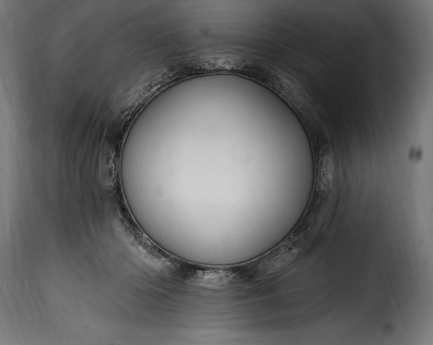 X0000115630414200911241651