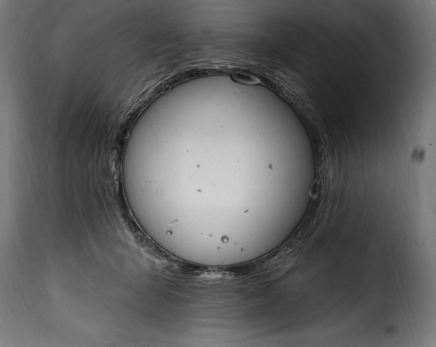 X0000115630415200911241651