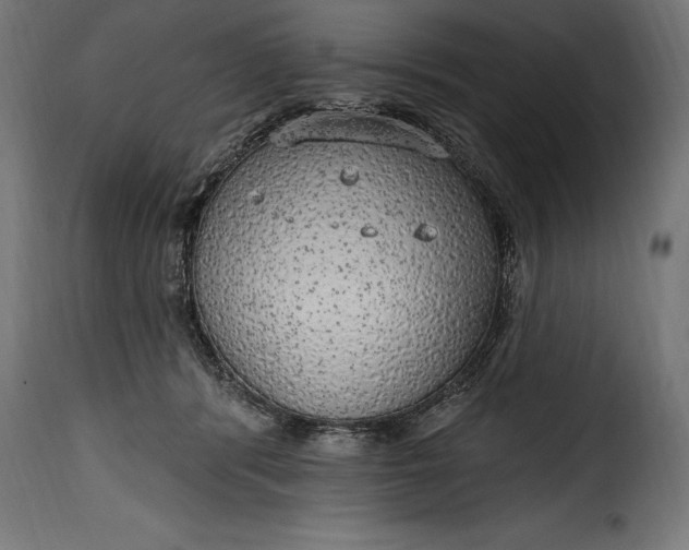 X0000115630416200911241651