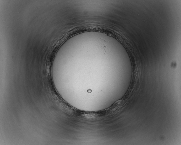 X0000115630417200911241651