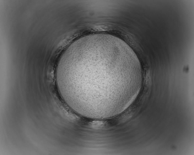 X0000115630418200911241651