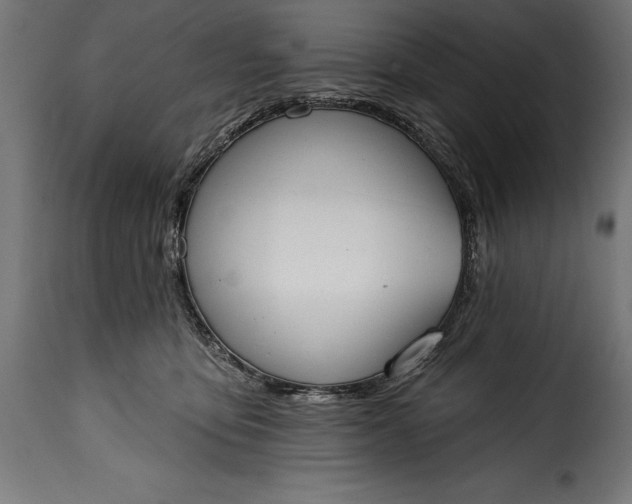 X0000115630419200911241651