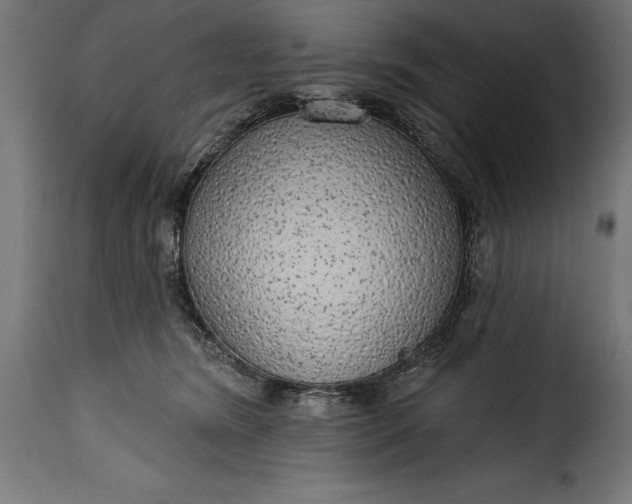 X0000115630420200911241651