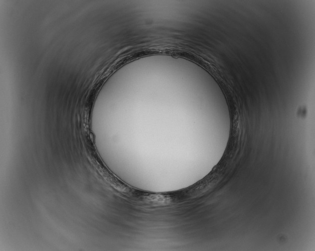 X0000115630421200911241651