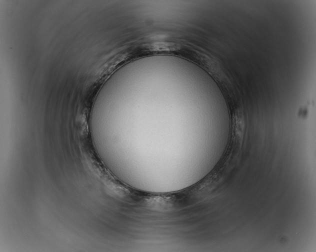 X0000115630422200911241651