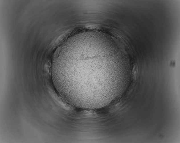 X0000115630424200911241651