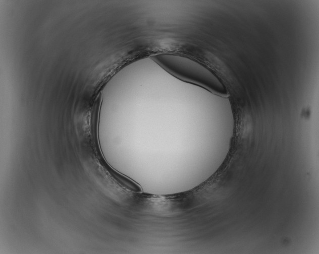 X0000115630425200911241651