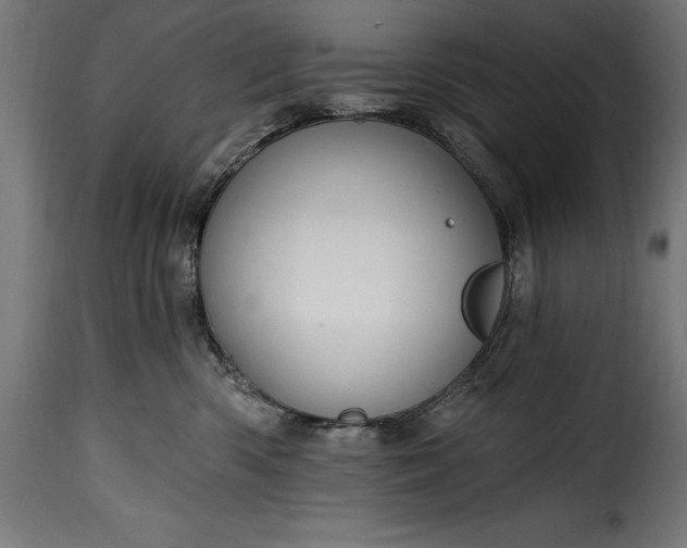 X0000115630426200911241651