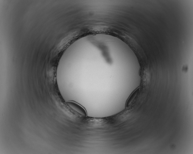 X0000115630428200911241651