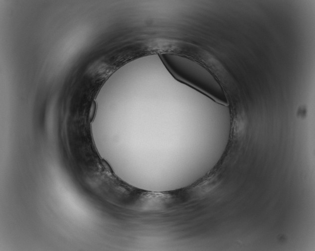 X0000115630429200911241651