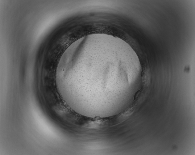 X0000115630430200911241651