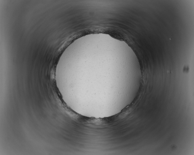 X0000115630431200911241651